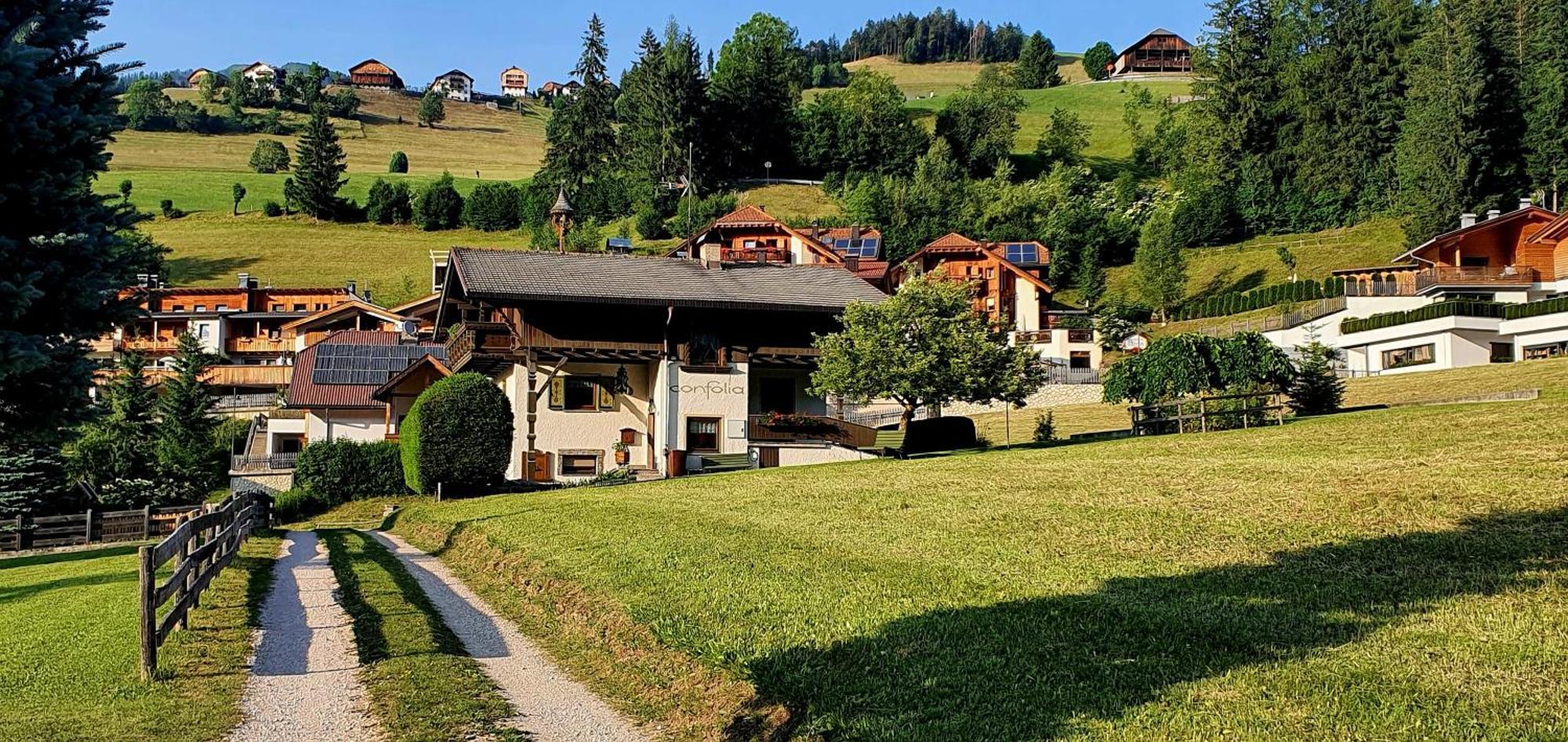 Ciasa Confolia Apartment San Vigilio Di Marebbe Luaran gambar